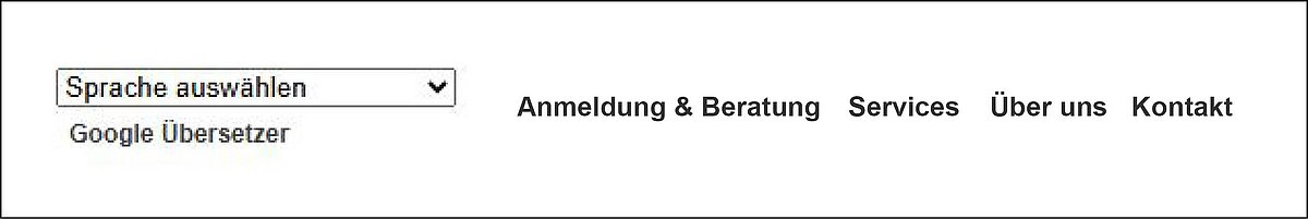 Ausschnitt MVHS-Website: Kopfleiste mit verschiedenen Schaltflächen 