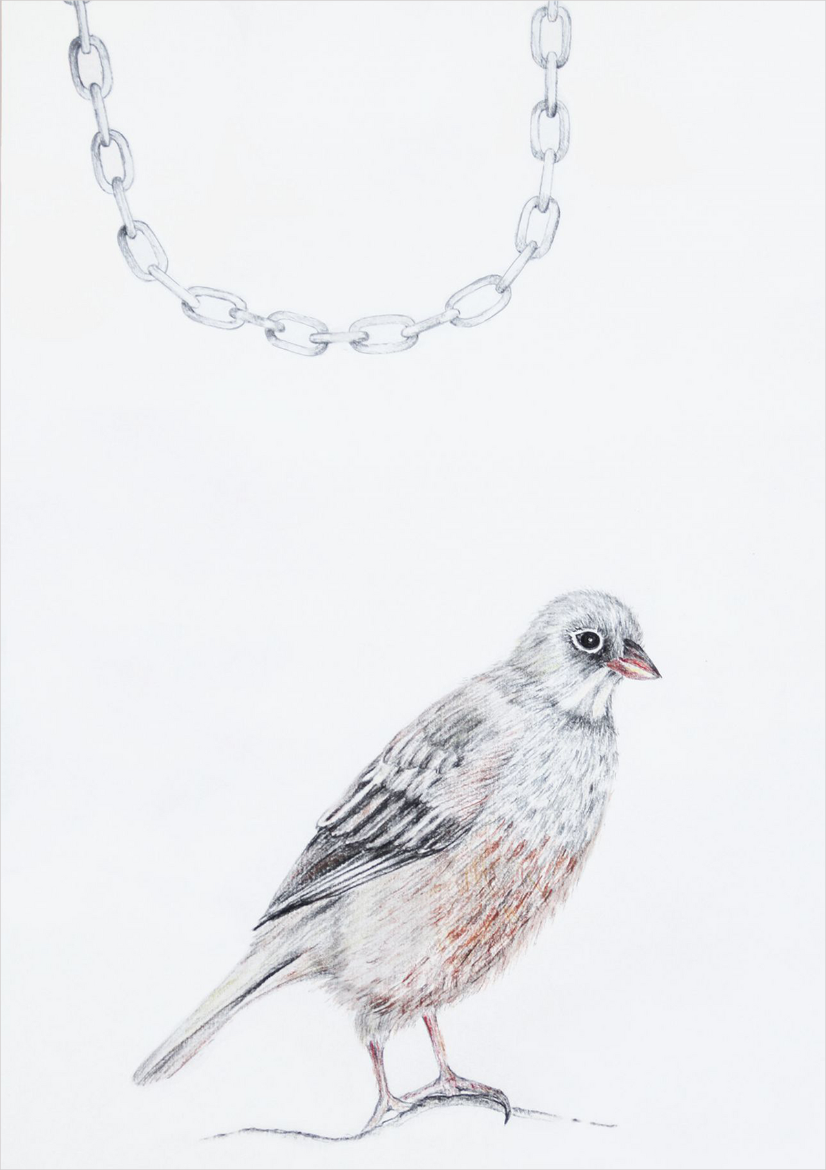 Zeichnung Vogel (Ortolan) mit Schmuckkette über ihm hängend