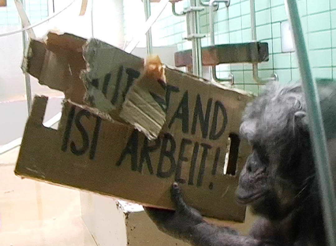 Videostill "dereguliert I": Schimpanse hält kaputtes Plakat mit Aufschrift "Aufstand ist Arbeit" hoch