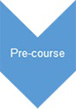 Grafik: Pre-course